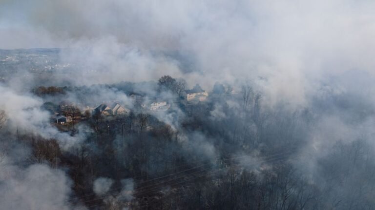 CRA Benefit Cheques Delayed by Wildfires: What to Do