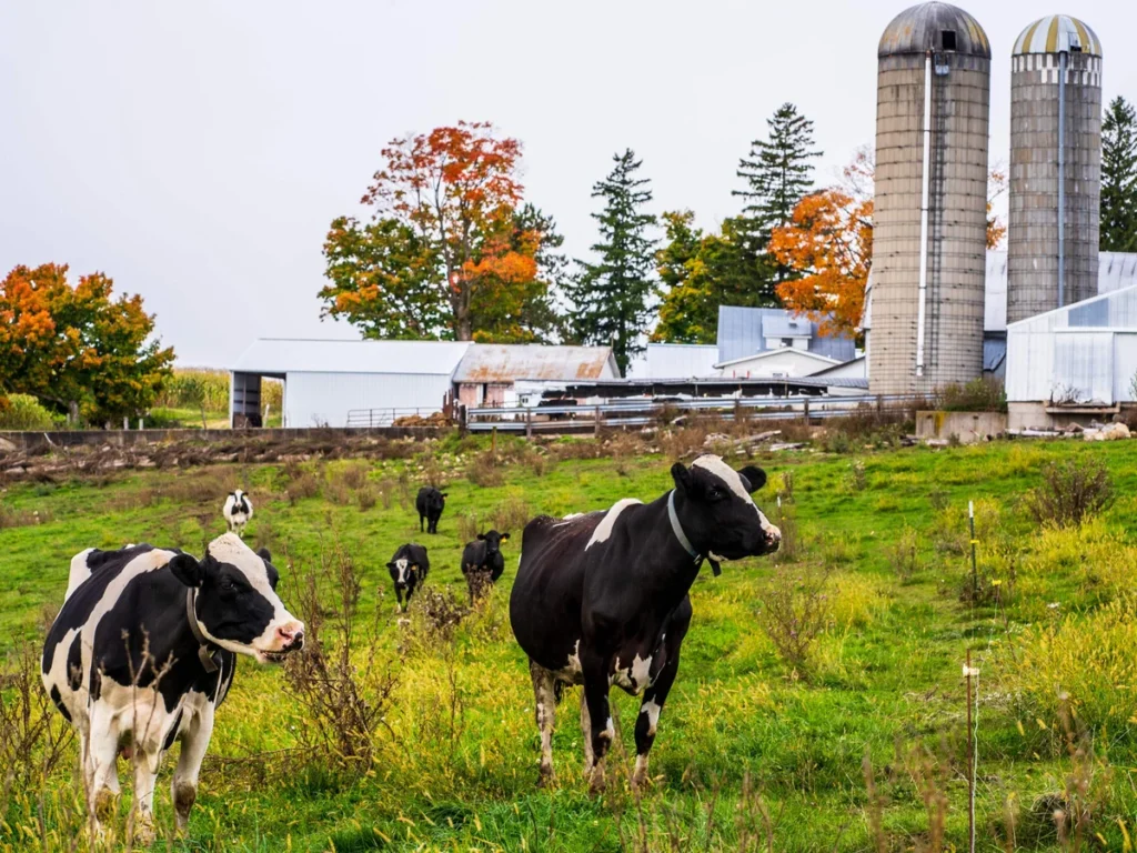 Dairy Farmers of America and Select Milk $34.4 Million Settlement