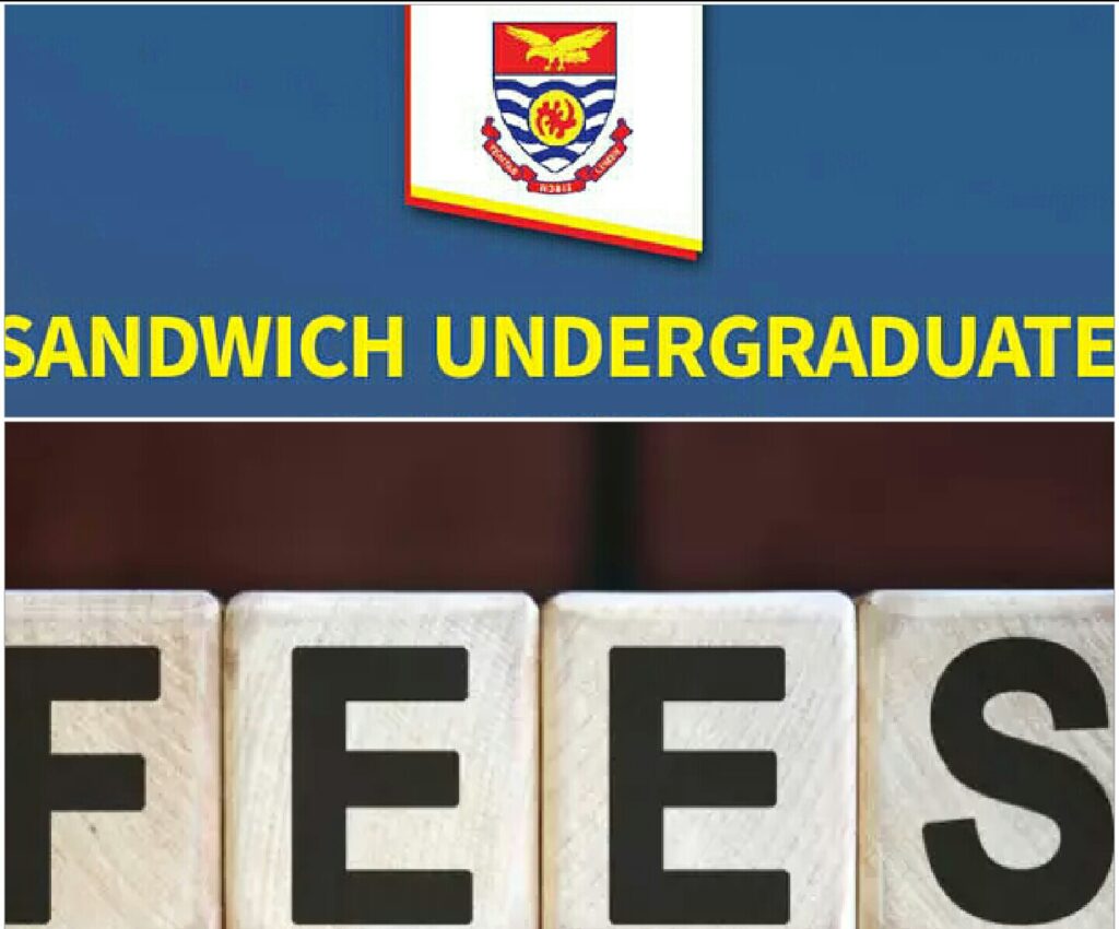 Fees for UCC Sandwich Undergraduate Programmes 2024/2025