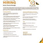 Job Opportunity: Senior Finance Manager at PassionAir