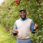 Apple Picking Jobs in Canada with Visa Sponsorship for International Workers