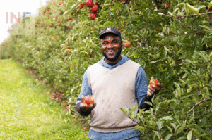 Apple Picking Jobs in Canada