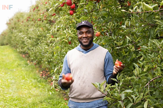 Apple Picking Jobs in Canada