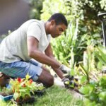 Gardener Jobs in Switzerland for International Workers – No Certificate Needed