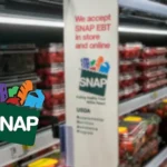 Texas SNAP Payment