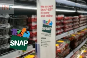 Texas SNAP Payment